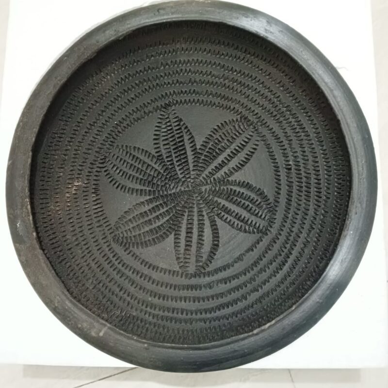 মাটির মাছ পরিষ্কার করা পাত্র