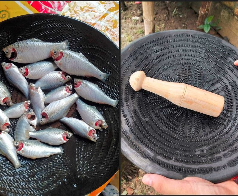 মাছ ধোয়ার পাএ+মাটির বাটনা পিষনি কম্বপ্যাক